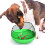 Space capsule dog bowl