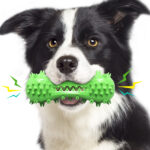 Vocal dog toothbrush
