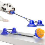 Double suction cup drawstring ball