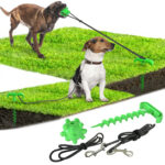 Ground Cone Set