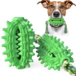 Prickly pear dog toy with rope
