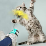 Little feet funny cat stick